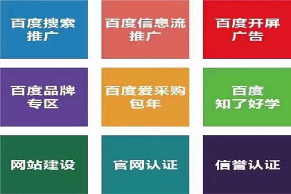 SEO百度推广策略：成功案例解析